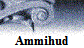 Ammihud