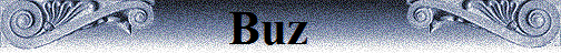 Buz �