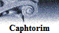 Caphtorim
