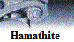 Hamathite�