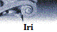 Iri