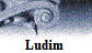 Ludim�