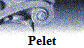 Pelet
