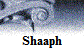 Shaaph