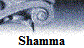 Shamma