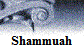 Shammuah