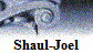 Shaul-Joel