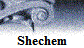 Shechem