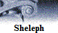 Sheleph