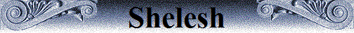 Shelesh