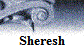 Sheresh