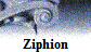 Ziphion