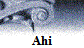 Ahi