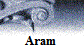 Aram�