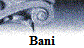 Bani