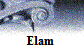 Elam�