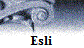 Esli