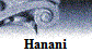 Hanani