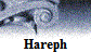 Hareph