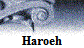 Haroeh