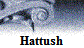 Hattush
