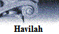 Havilah�