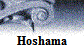 Hoshama