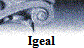 Igeal