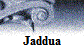Jaddua