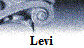 Levi