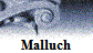 Malluch