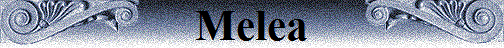 Melea