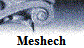 Meshech