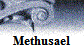 Methusael