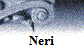 Neri