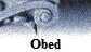 Obed