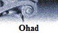 Ohad