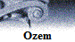 Ozem