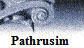 Pathrusim�