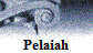 Pelaiah