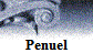 Penuel