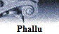 Phallu