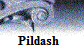 Pildash �