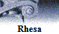 Rhesa