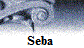 Seba�