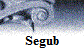 Segub