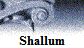 Shallum