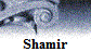 Shamir