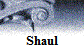 Shaul
