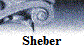 Sheber